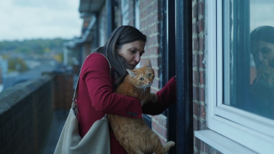 Киномания 2019: Софийска премиера на "Котка в стената"