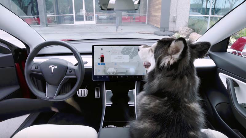 Tesla помисли и за кучетата, оставени сами в колата (допълнено с видео)