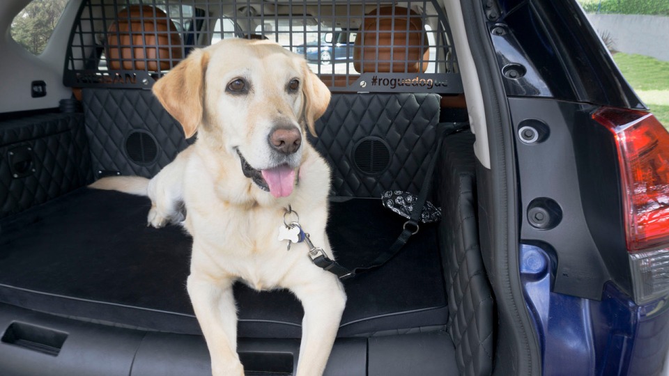 Автосалон Ню Йорк 2017: Nissan създава удобства за кучета