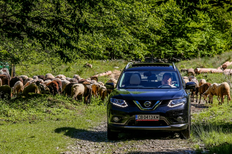 2.0-литров дизел за Nissan X-Trail – вече и в България